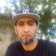  -,   , 41 ,   , 