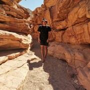 ���������� �����������, ���� ������� ������, 29 ���, ������������ ��� ������, ����� � ���������