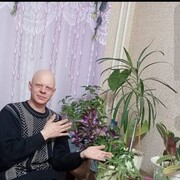  -,   , 41 ,   ,   , c , 