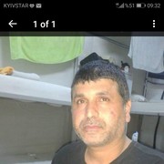 ���������� ���������, ���� ������� Poma, 49 ���, ������������ ��� ������, ����� � ���������, c�������� ���������