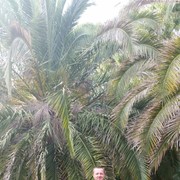  ,   Viktor, 46 ,   