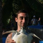 ���������� �����-���������, ���� ������� Jaroslove, 37 ���, ������������ ��� ������