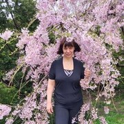  ,   , 59 ,  