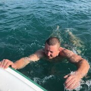 ���������� ���������, ���� ������� ������, 41 ���, ������������ ��� ������, ����� � ���������, c�������� ���������