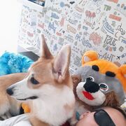 ���������� ������������, ���� ������� ����, 32 ����, ������������ ��� ������, ����� � ���������