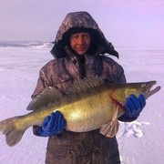 ���������� ���������, ���� ������� ��������, 51 ���, ������������ ��� ������, ����� � ���������, c�������� ���������