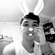  ,   Snurbek, 33 ,   ,   , c 