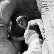 ���������� ������, ���� ������� ������, 25 ���, ������������ ��� ������, ����� � ���������