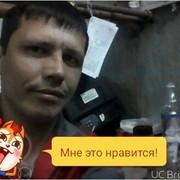  ,  , 43