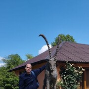  ,   , 46 ,   ,   