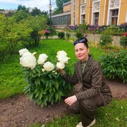 ���������� �����-���������, ���� ������� ��������, 40 ���, ������������ ��� ������, ����� � ���������, c�������� ���������