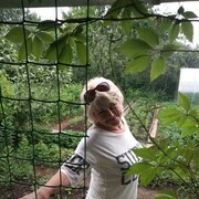 ���������� ��������, ���� ������� �����, 60 ���, ������������ ��� ������, ����� � ���������