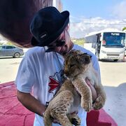 ���������� �������, ���� ������� ������, 27 ���, ������������ ��� ������, ����� � ���������, c�������� ���������