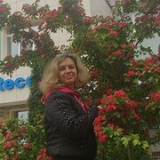 ���������� �����-���������, ���� ������� ����, 49 ���, ������������ ��� c�������� ���������