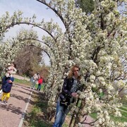 ���������� ������, ���� ������� ���, 46 ���, ������������ ��� ������, ����� � ���������