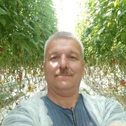 ���������� ������, ���� ������� ��������, 53 ����, ������������ ��� ������, ����� � ���������, c�������� ���������