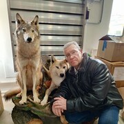 ���������� �����-���������, ���� ������� �������, 61 ���, ������������ ��� ������, ����� � ���������