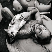 ���������� ������, ���� ������� �����, 29 ���, ������������ ��� ������, ����� � ���������