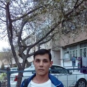 ���������� �������, ���� ������� Vitalik, 48 ���, ������������ ��� ������, ����� � ���������, c�������� ���������