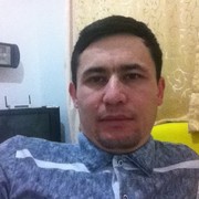 Shef