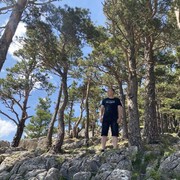 ���������� ���������, ���� ������� ���������, 31 ���, ������������ ��� c�������� ���������