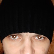   ,   , 43 ,   