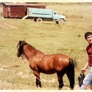 ���������� �������, ���� ������� ������, 33 ����, ������������ ��� ������