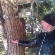 ���������� ���������, ���� ������� �����, 40 ���, ������������ ��� ������, ����� � ���������, c�������� ���������