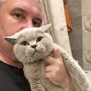 ���������� �����-���������, ���� ������� �������, 47 ���, ������������ ��� ������, ����� � ���������, c�������� ���������