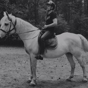 ���������� �����������, ���� ������� ����, 41 ���, ������������ ��� ������, ����� � ���������, c�������� ���������