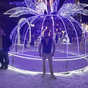 ���������� �������, ���� ������� ����, 39 ���, ������������ ��� ������, ����� � ���������