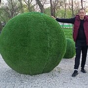 ,  , 42