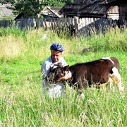  -,   Sergey, 54 ,   ,   