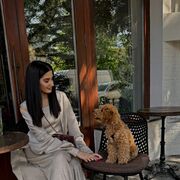 ���������� ������������, ������