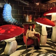  -,   , 37 ,   ,   , c 