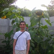  ,   , 39 ,   ,   , c , 