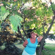 ���������� ���������, ���� ������� �����, 58 ���, ������������ ��� ������, ����� � ���������, c�������� ���������