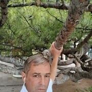  ,   , 51 ,   c 