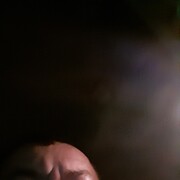  ,  , 41