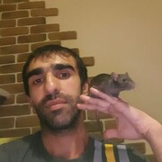 ���������� ���������, ���� ������� �����, 35 ���, ������������ ��� ������, ����� � ���������, c�������� ���������, ���������