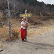  ,   , 44 ,   c 