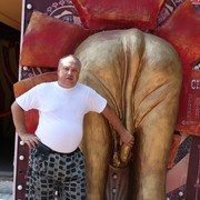  ,   , 54 ,   
