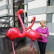  ,   , 73 ,  