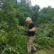 ���������� ������, ���� ������� ����, 31 ���, ������������ ��� ����� � ���������, c�������� ���������