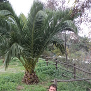  ,   Sergii, 44 ,   