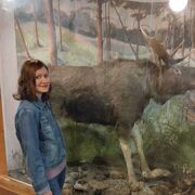 ���������� ������, ���� ������� �����, 33 ����, ������������ ��� c�������� ���������