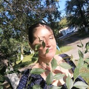  ,   , 46 ,   ,   , 