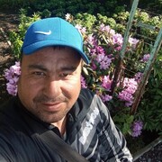  -,   , 34 ,   ,   