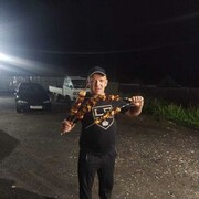 ���������� �����������, ���� ������� �����, 44 ����, ������������ ��� ������, ����� � ���������