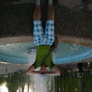  ,   , 41 ,   ,   